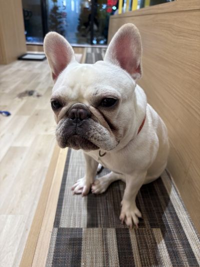 肌寒いなぁ〜😭