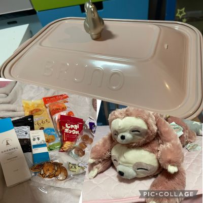 わたしの持ち物🦥