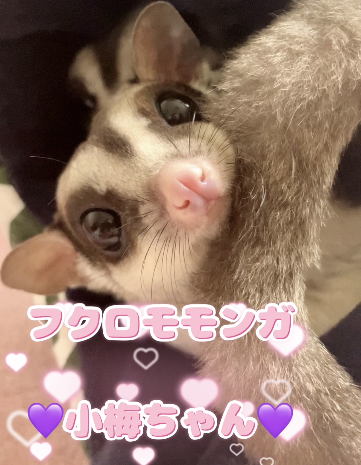 ⭐️愉快な仲間たち⭐️
