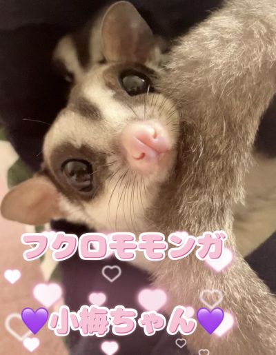 ⭐️愉快な仲間たち⭐️