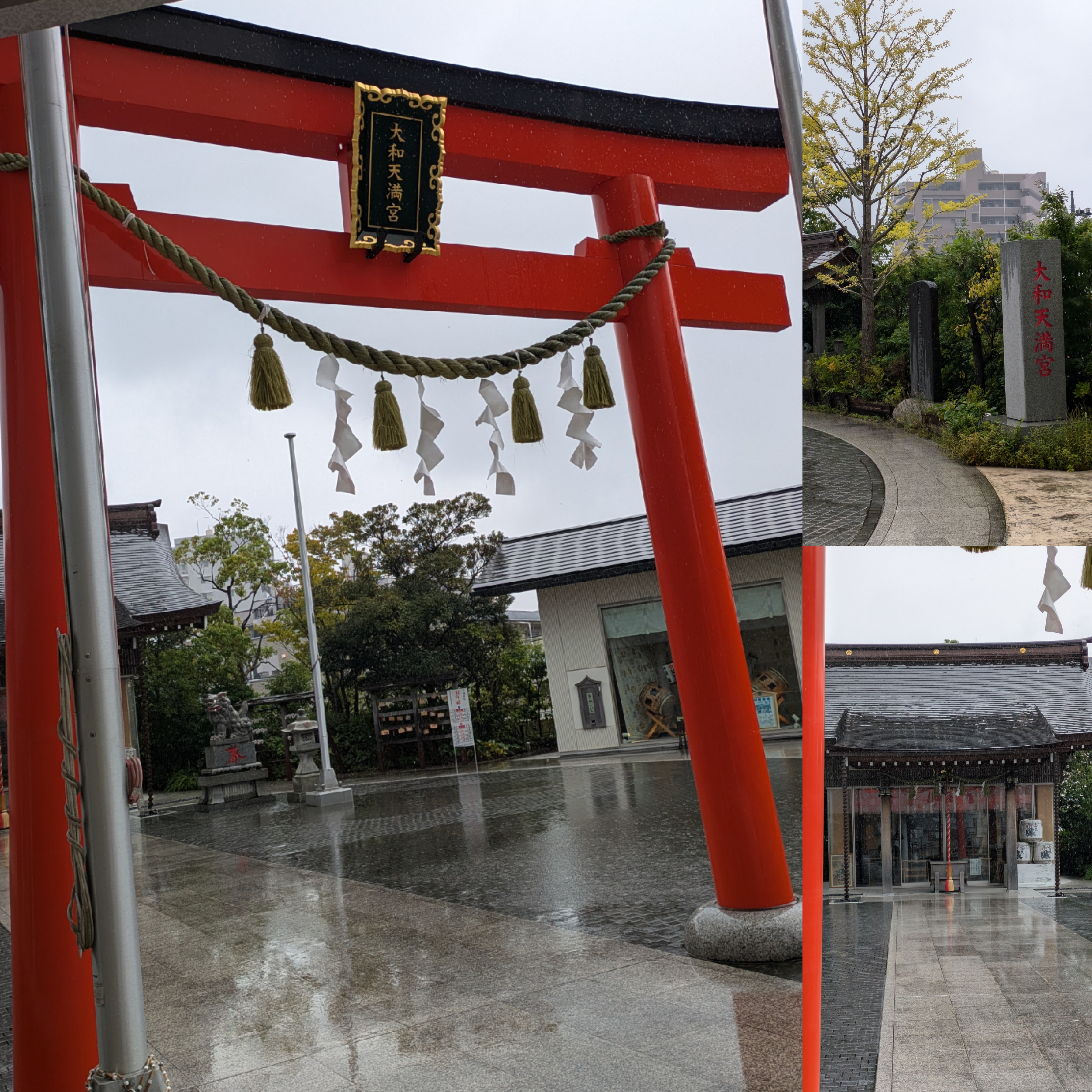 9/23午前中☔なんて珍しい💬✨