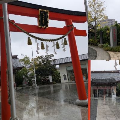 9/23午前中☔なんて珍しい💬✨