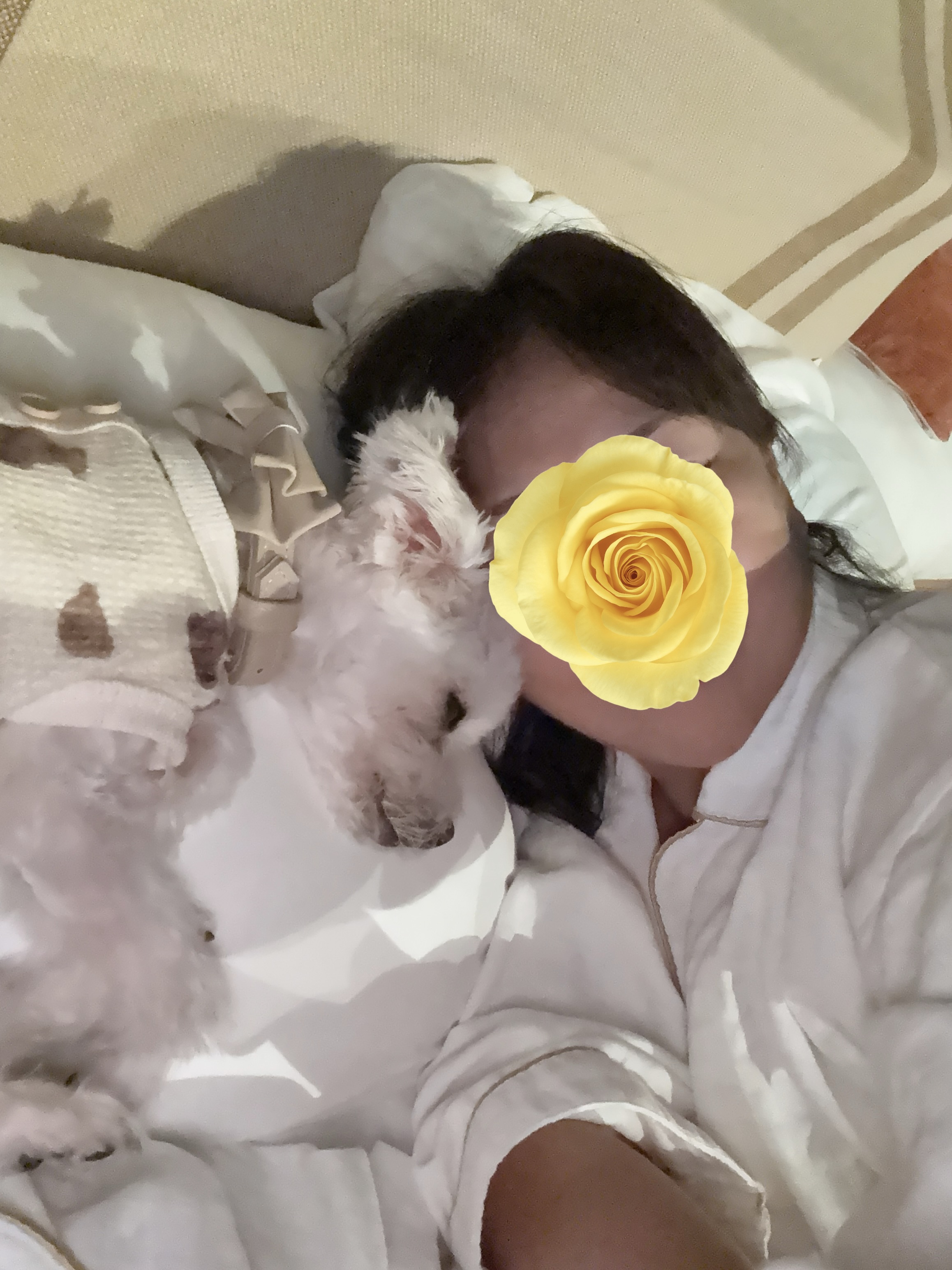 寝込み中😢