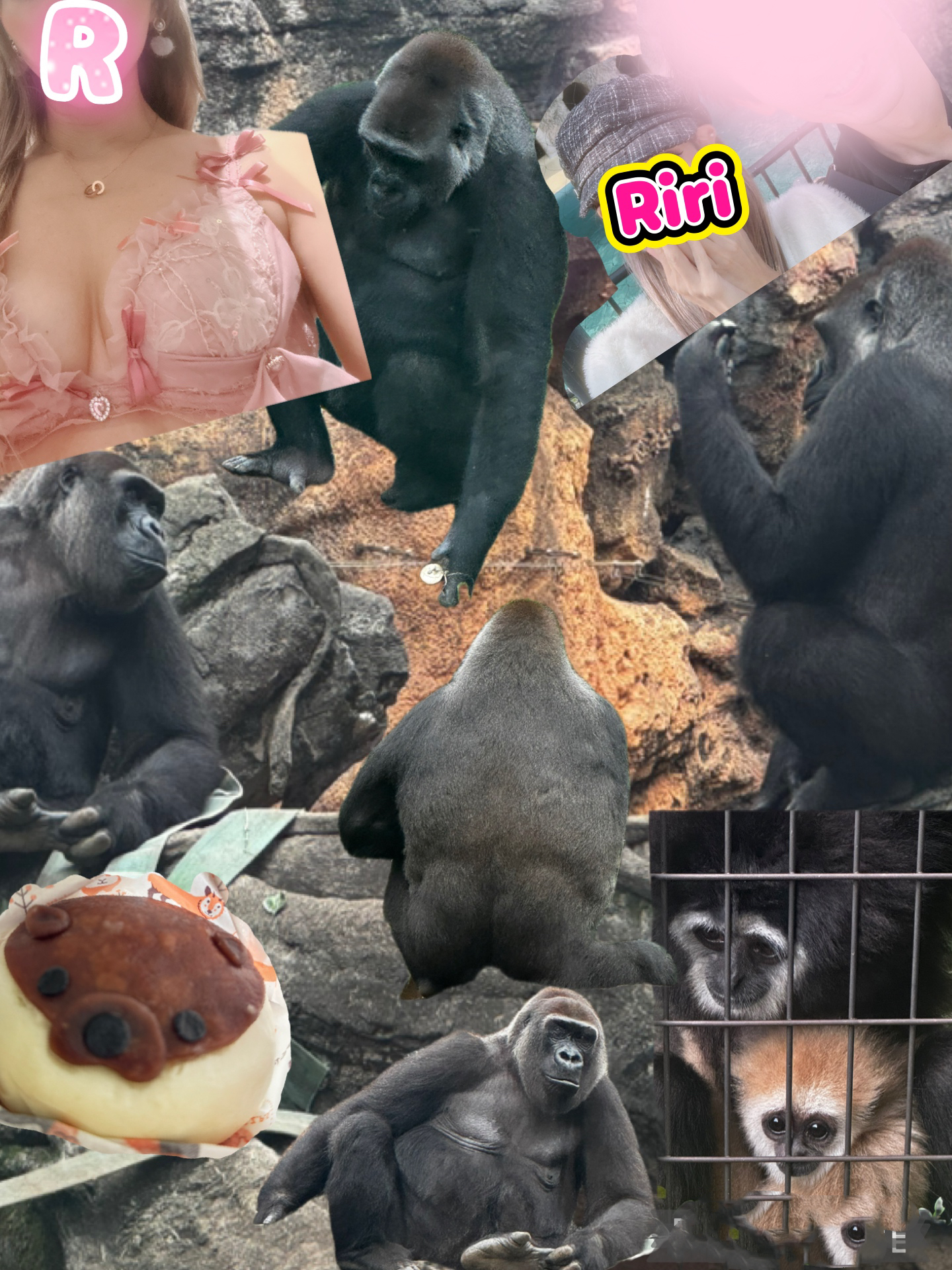 ゴリラ🦍にハマった💟観察👀笑