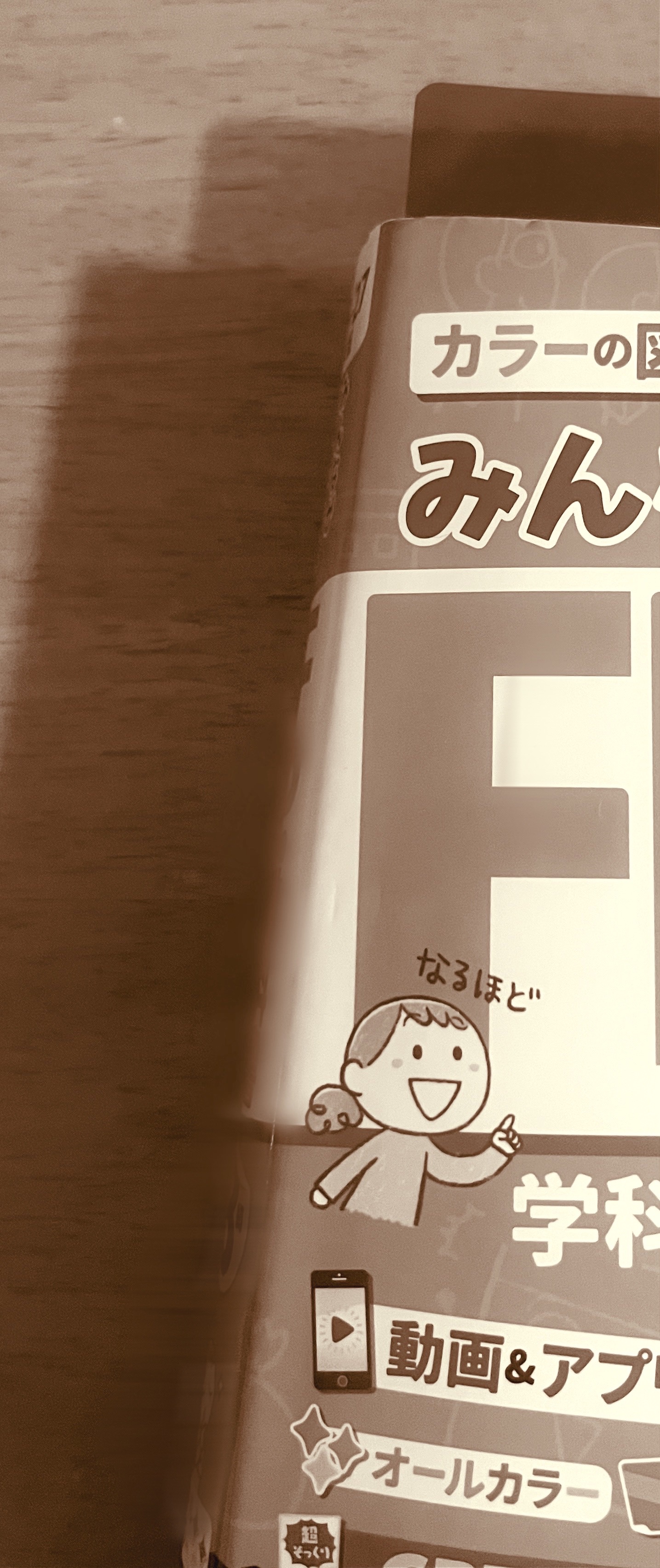 今日は🏠