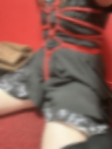 はくの写真