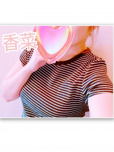 香菜の写真