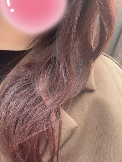 青葉の写真