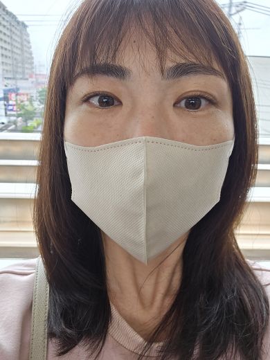 ひまゆみの写真