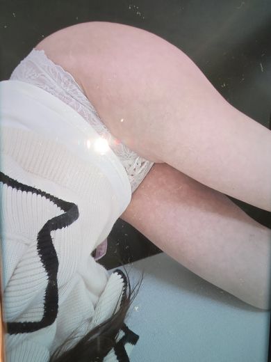 ひまゆみの写真