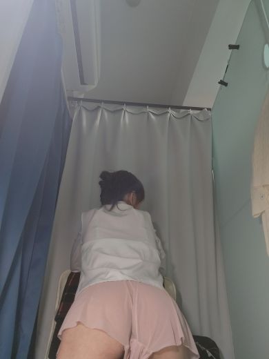 ひまゆみの写真