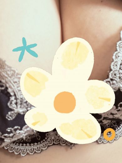 あき０２５０の写真
