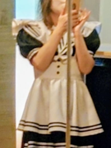 檸檬の写真