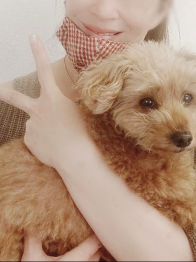 ユリの花が好きの写真