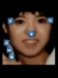 弾田秋