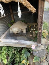 浦島の太郎　